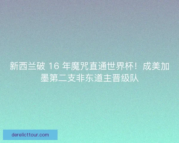 新西兰破 16 年魔咒直通世界杯！成美加墨第二支非东道主晋级队