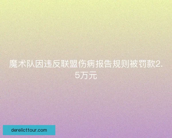 魔术队因违反联盟伤病报告规则被罚款2.5万元